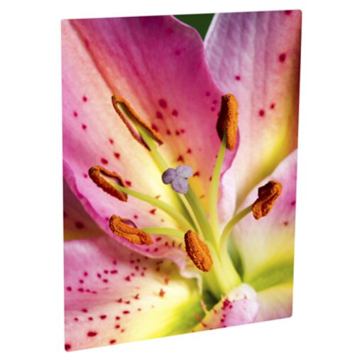 8x10 Wall Photo Panel Thumbnail
